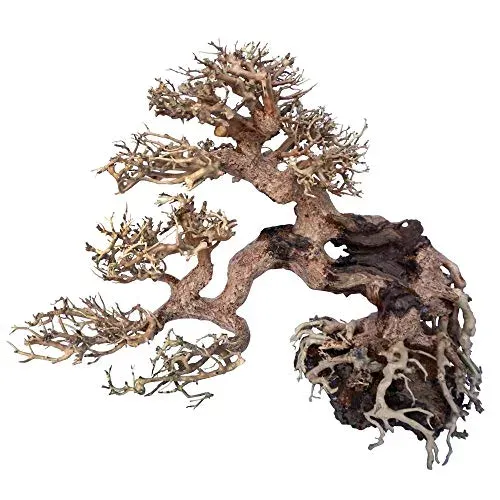 Amtra Bois Oriental Wind 7 style bonsaï
