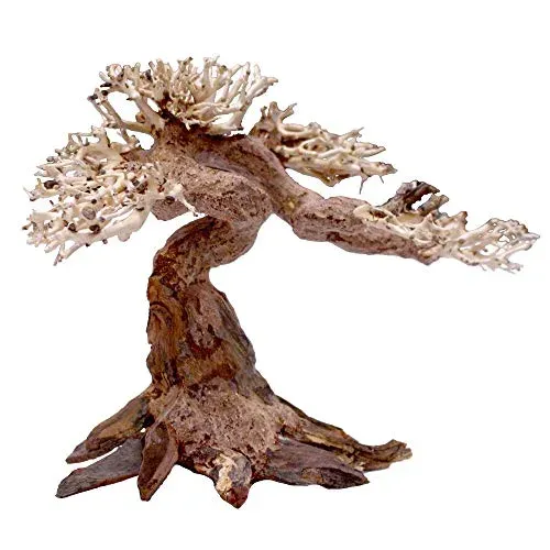 Amtra Oriental Wind 5 bois naturel pour aquarium