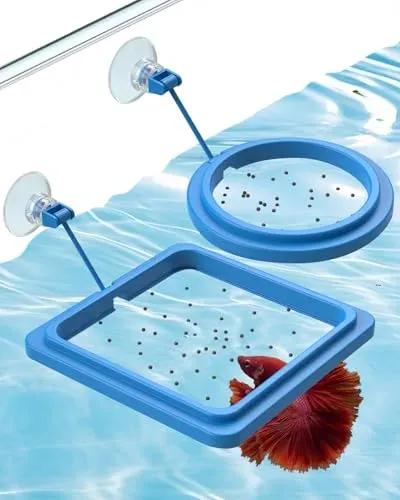 Anneaux d'alimentation flottants Pawfly pour combattant et guppy