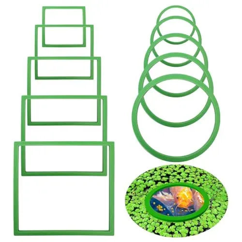 Lot de 10 anneaux de plantes flottantes pour aquarium