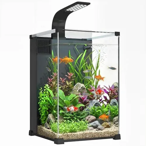 Aquarium PawHut 36 l en verre trempé avec filtre intégré