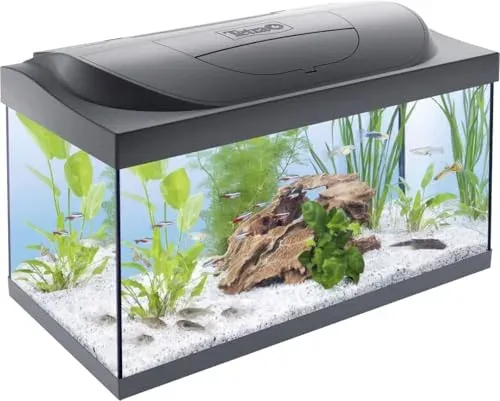 Aquarium Tetra Starter Line LED 54 l