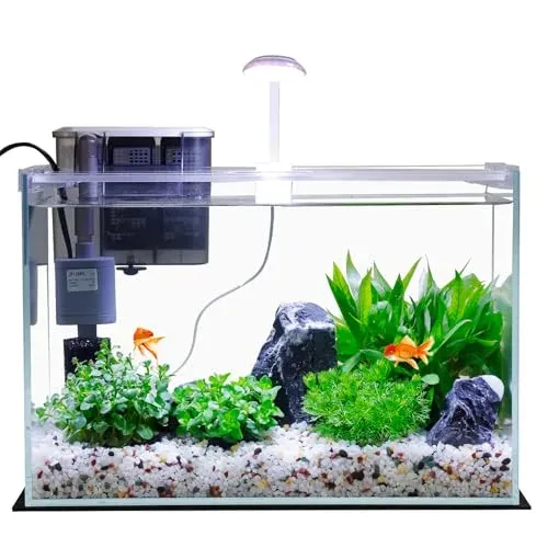 Aquarium Vimvins 18 l pour poisson combattant