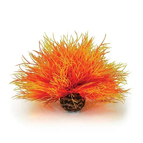 biOrb 46085 lis de mer orange pour aquarium