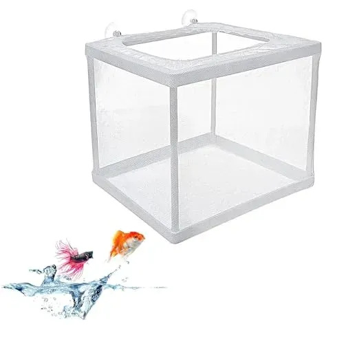 Boîte d'élevage Kiuiom L76 pour alevins et poissons isolés