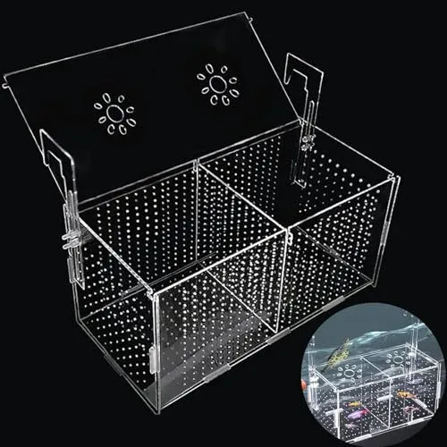 Boîte d'élevage PANYI en acrylique pour aquarium