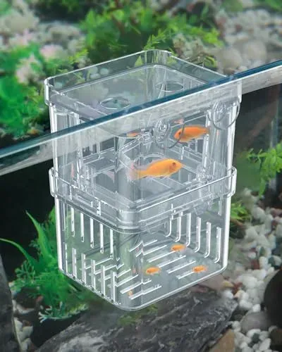 Boîte d'élevage Pawfly pour guppys et crevettes