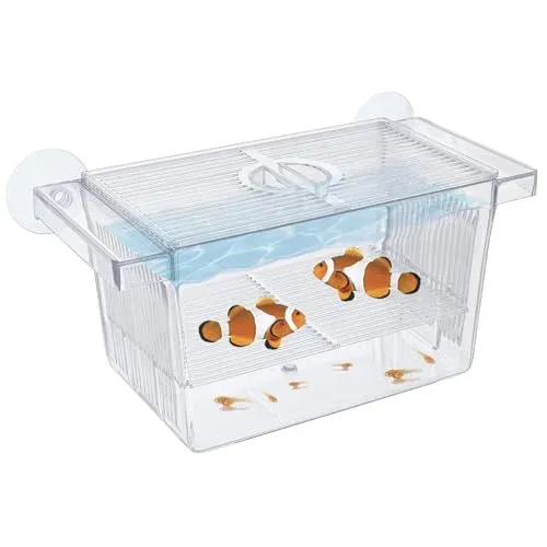 Boîte d'incubation Pawfly CW0424-TP