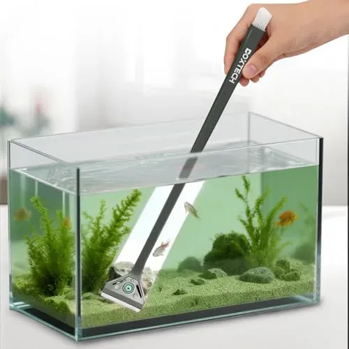 Boxtech grattoir à algues 2 en 1 pour petit aquarium d'eau douce