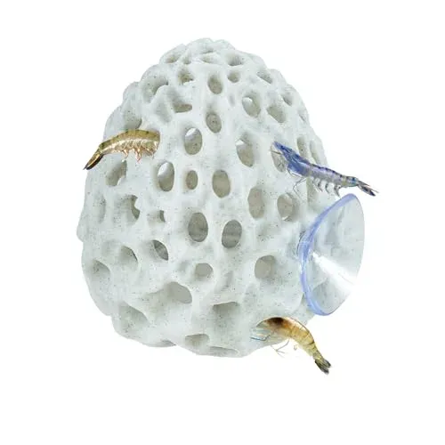 Cachette dôme Boxili à ventouse pour crevettes