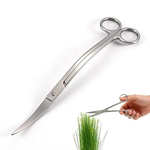 Ciseaux d'aquarium coudés Qiundar 25 cm lames ondulées