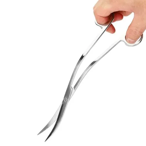 Ciseaux courbés en acier inoxydable de 25 cm pour plantes