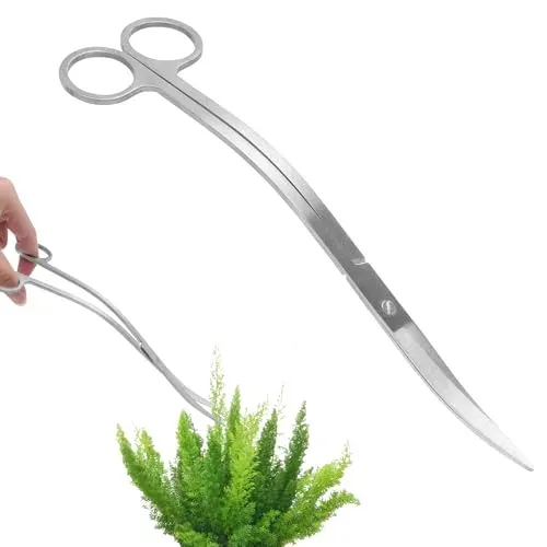 Ciseaux courbes inox 25 cm TMZELOA pour plantes