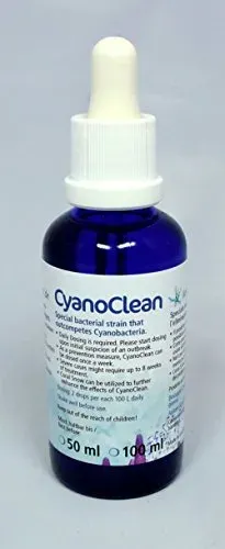 Cyanoclean Korallenzucht.de pour bac d'eau de mer, 10 ml