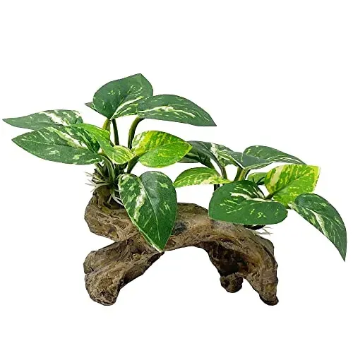 Décor Smoothedo-Pets feuilles de betta et hamac en bois flotté