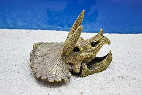 Décoration crâne de tricératops Amtra pour aquarium