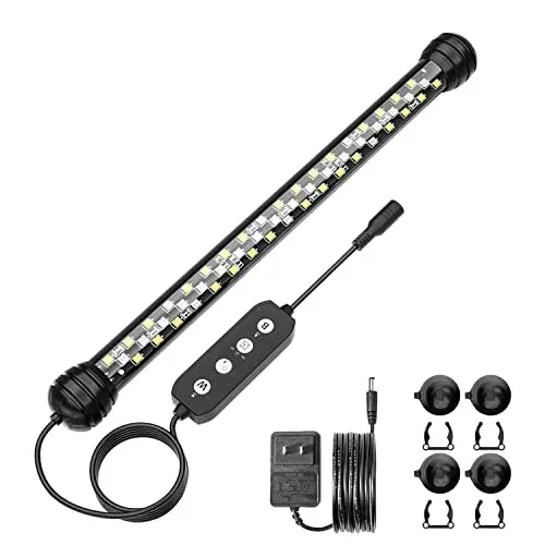 Éclairage LED submersible Seaoura SR-619 avec minuterie