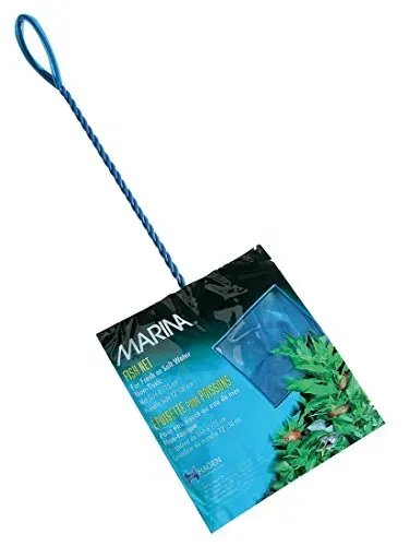 Épuisette Marina maille fine pour manipuler poissons et crevettes