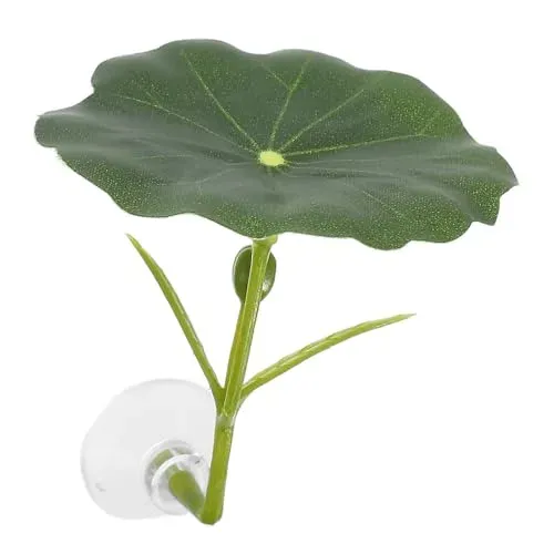 Feuille de repos BESTYASH en lotus vert pour betta
