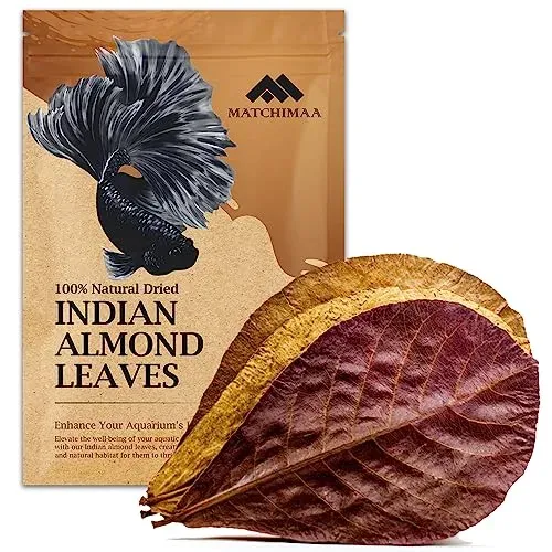 Feuilles d'amande indienne Matchimaa, sachet de 50 g