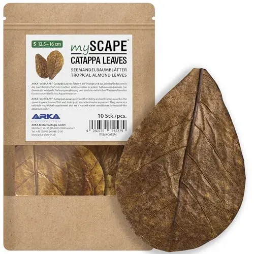 Feuilles de badamier ARKA Myscape Catappa, lot de 10