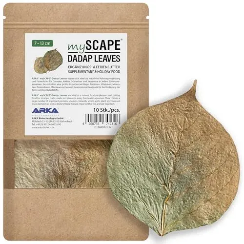 Feuilles de badamier ARKA mySCAPE DADAP pour crevettes et escargots