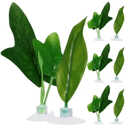 8 feuilles de betta artificielles Lurrose à ventouse