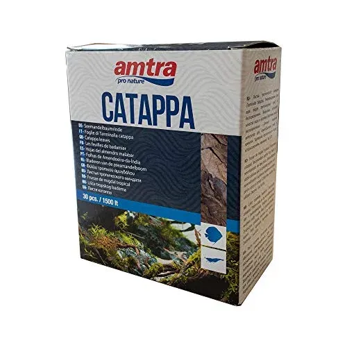 Feuilles de catappa Amtra pour crevettes, 30 pièces