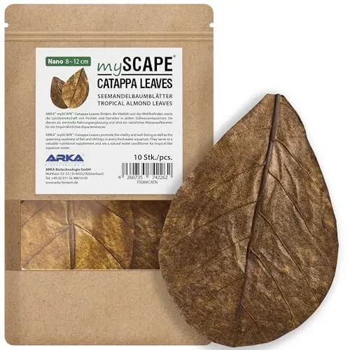 Feuilles de Catappa Arka pour aquarium d'eau douce, lot de 10