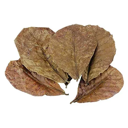 Feuilles de catappa POFET pour bac crevettes et betta