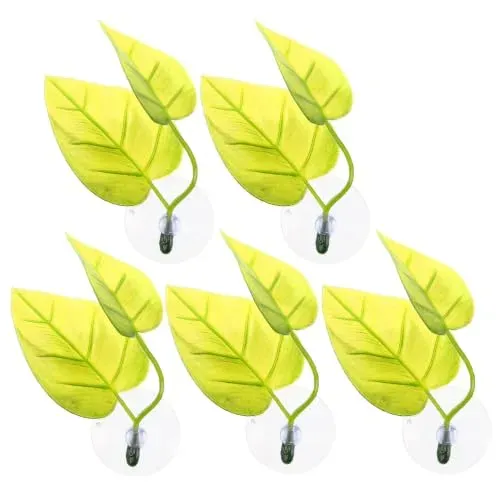 Feuilles de ponte à double couche Sosoport pour betta