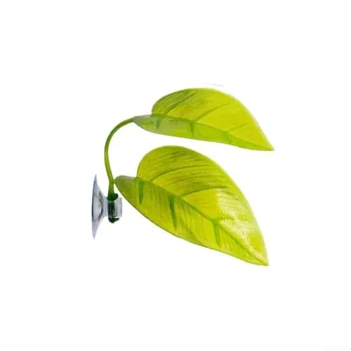 Feuilles de repos zeroupshop pour betta et crevettes (4 pièces)