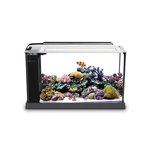 Fluval Evo V, kit d'aquarium marin de 5 gallons pour coraux