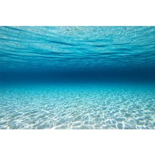 Fond d'aquarium MIRRORANG décor océan 61 x 30 cm