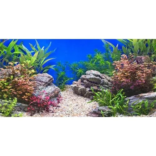 Fond d'aquarium vinyle MIRRORANG décor pierre et rivière 61x30 cm