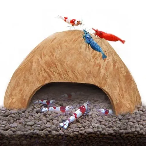 Grotte en coco SunGrow pour crevettes d'aquarium