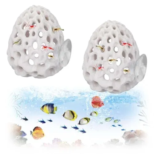 Grotte décorative pour crevettes et poisson combattant (lot de 2)