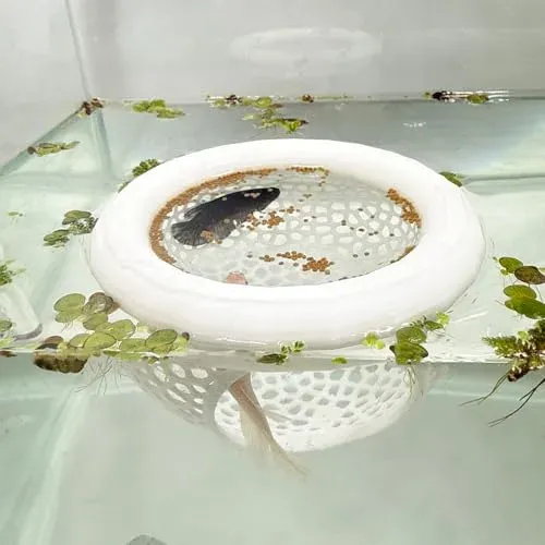 Grotte flottante HOZOE pour combattant et crevettes