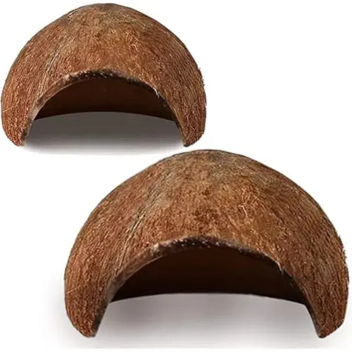 Grottes en coquille de coco SunGrow pour poisson combattant