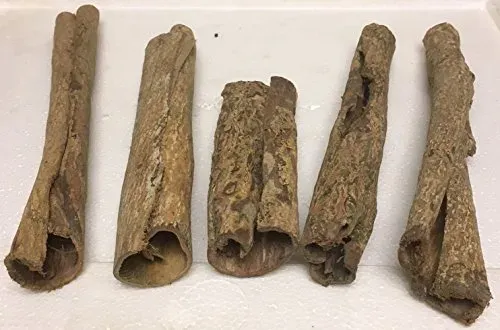 Grottes d'écorce de badamier Catappa-Leaves, lot de 5