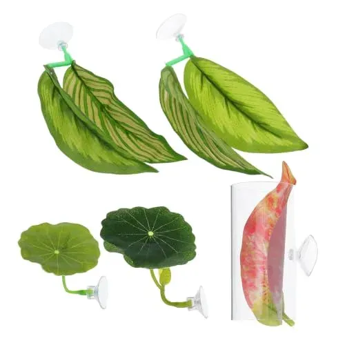Hamacs feuille de lotus Beaupretty pour betta (5 pièces)