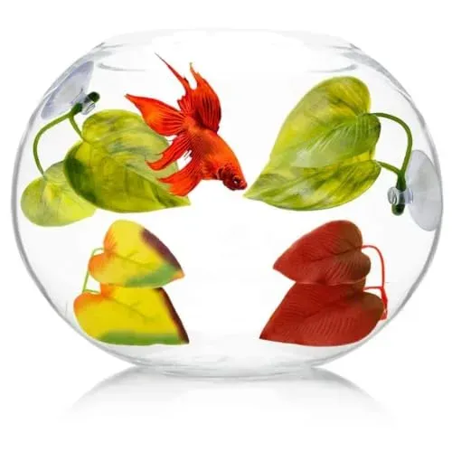 HERCHR feuilles de repos pour betta avec ventouse