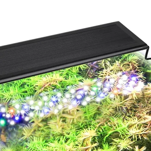 hygger LED 24 W spectre complet pour aquarium 60 à 72 cm