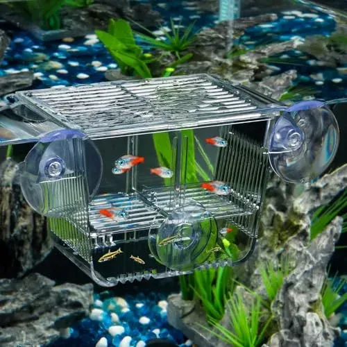 Incubateur Pawfly CW2470-TP en acrylique