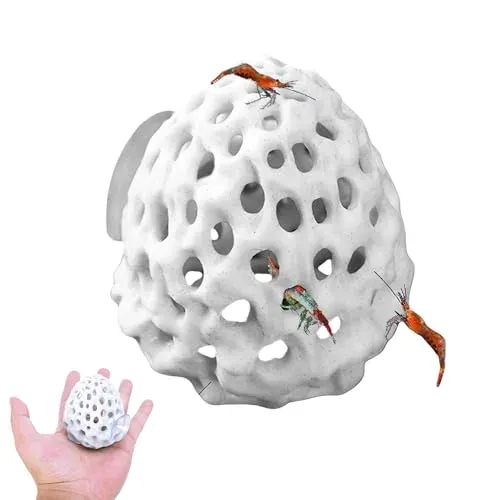 JINJUMEI dôme cachette pour crevettes et petits poissons