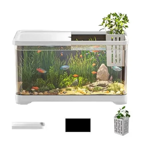 Kit aquarium décoratif avec panier de plantation murale