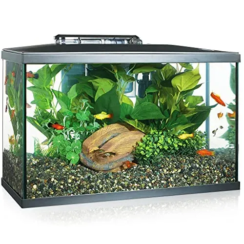 Kit aquarium Marina LED verre 38 l