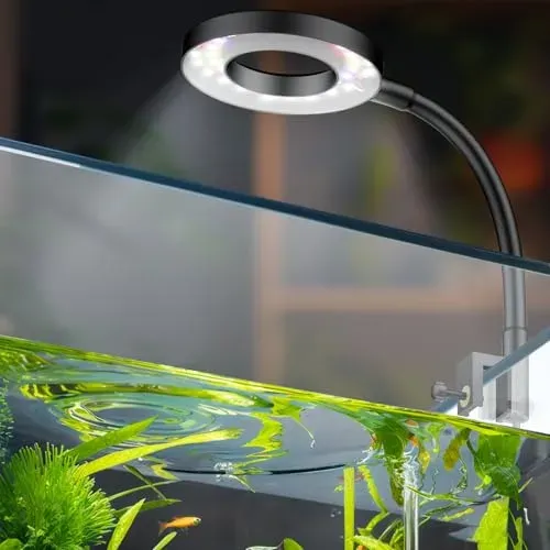 Lampe LED à pince Pawfly 4,5 W pour bac jusqu'à 38 l