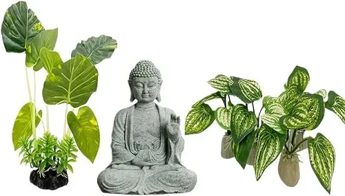 Lot Loopunk : Bouddha et 5 plantes pour aquarium