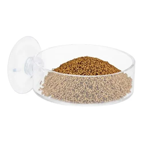 Mangeoire à ventouse APOMOONS pour crevettes, 6 cm
